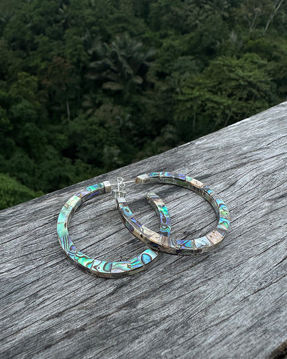 ARGOLLAS ABALONE M