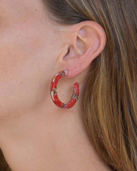 ARGOLLAS CORALB S