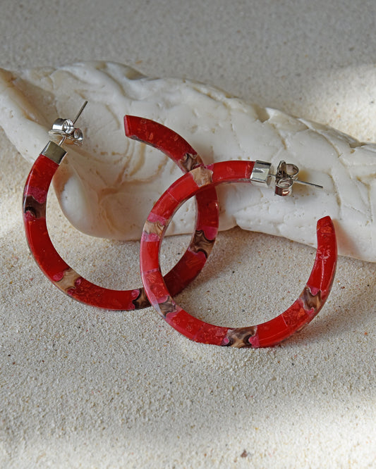 ARGOLLAS CORAL BM