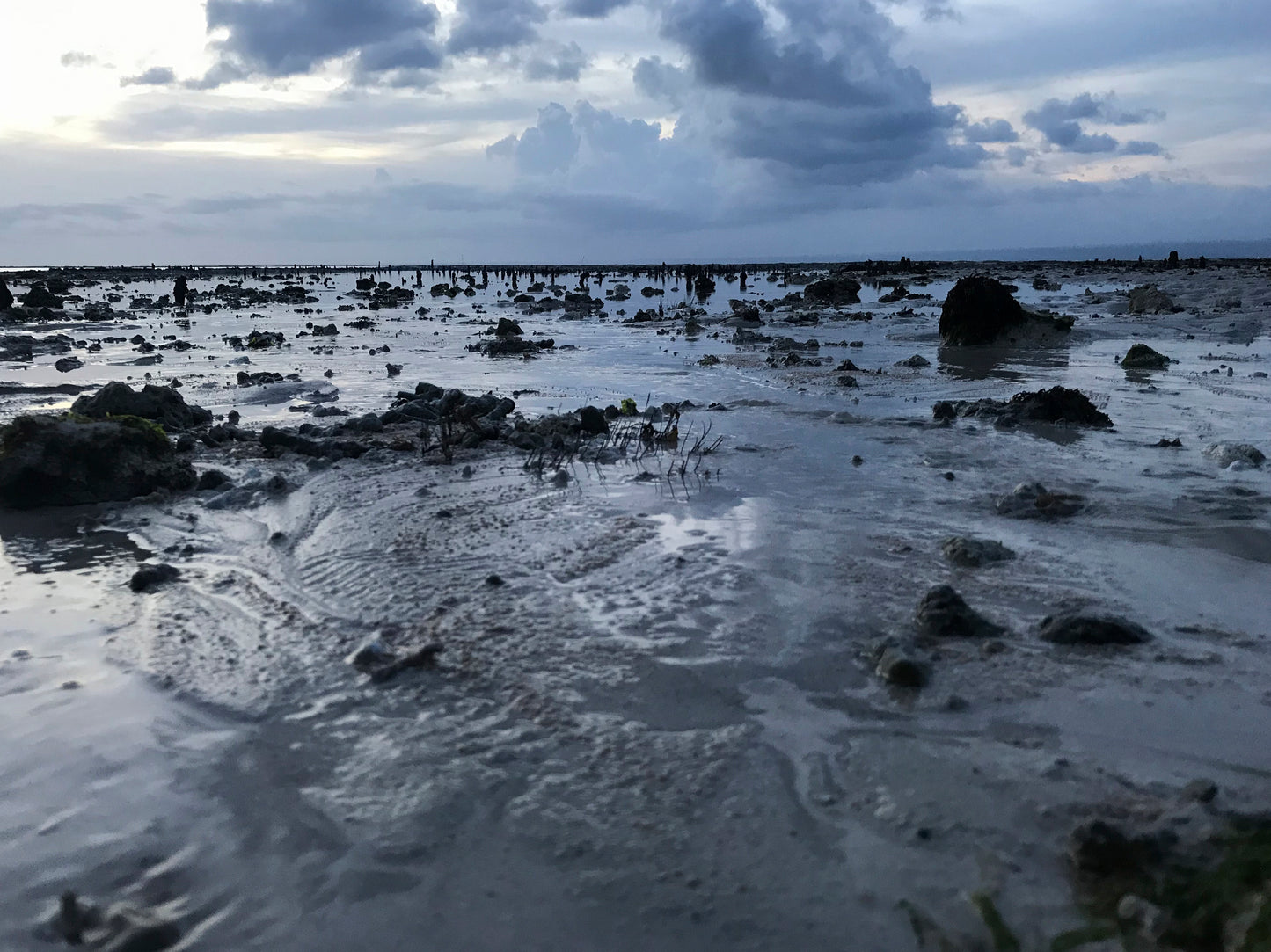 imágenes caro_0014_IMG_6897.jpg