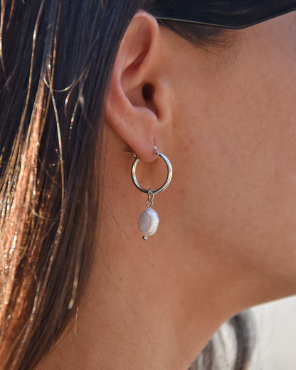 ARGOLLAS PERLAS XS
