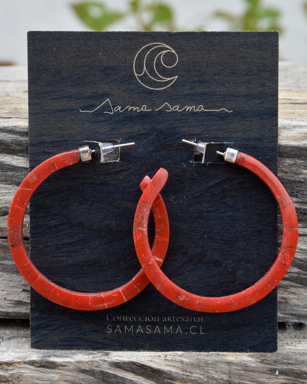 ARGOLLAS CORAL M