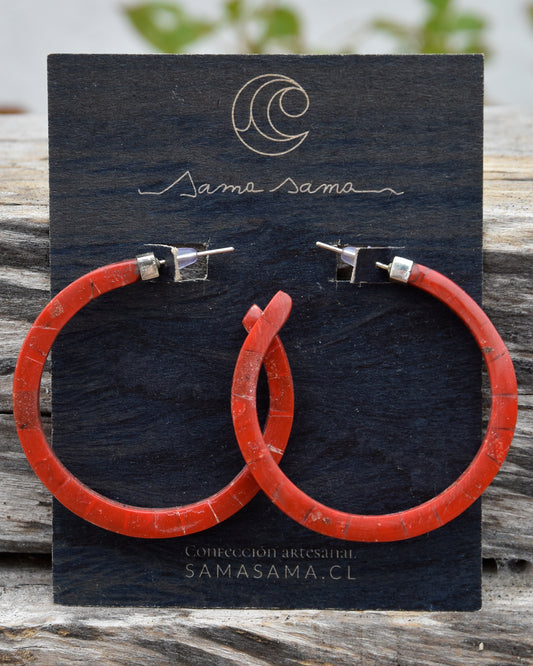 ARGOLLAS CORAL M